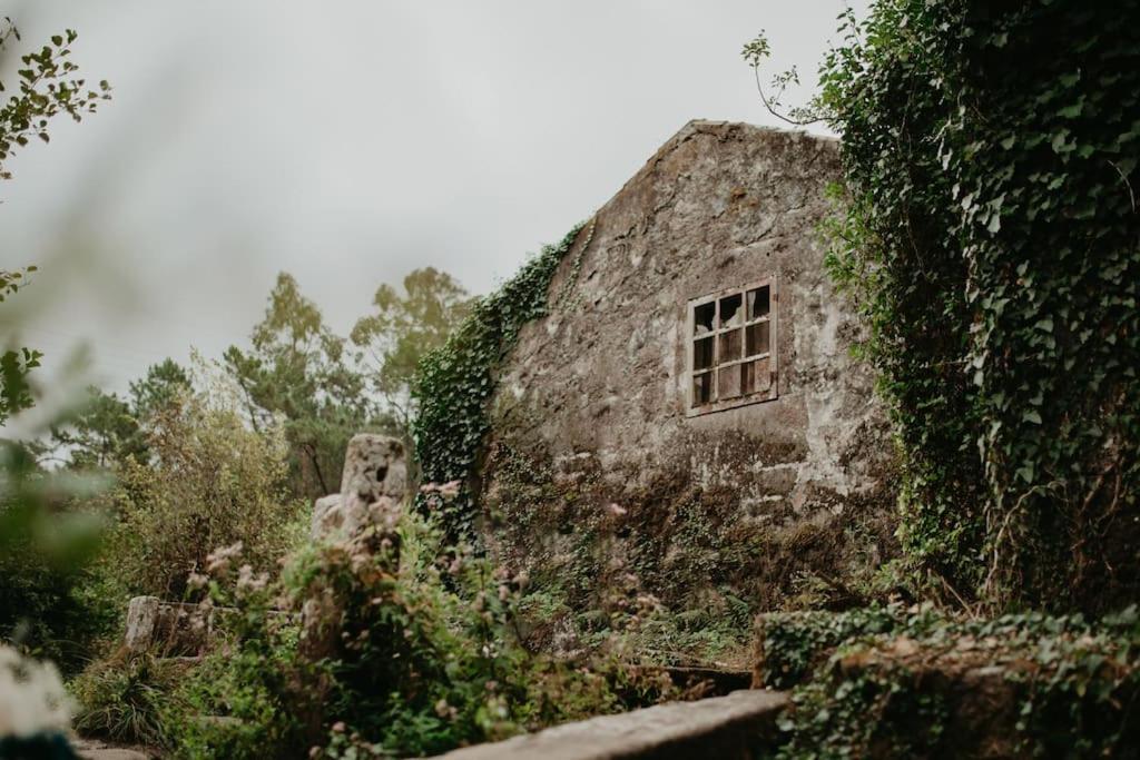 Antas Villa Family Esposende Luaran gambar